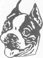 Terrier, BFHS & BFUHS mascot